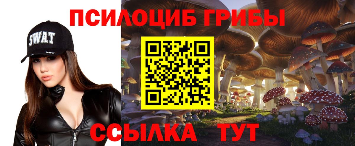 Галлюциногенные грибы мицелий Можайск